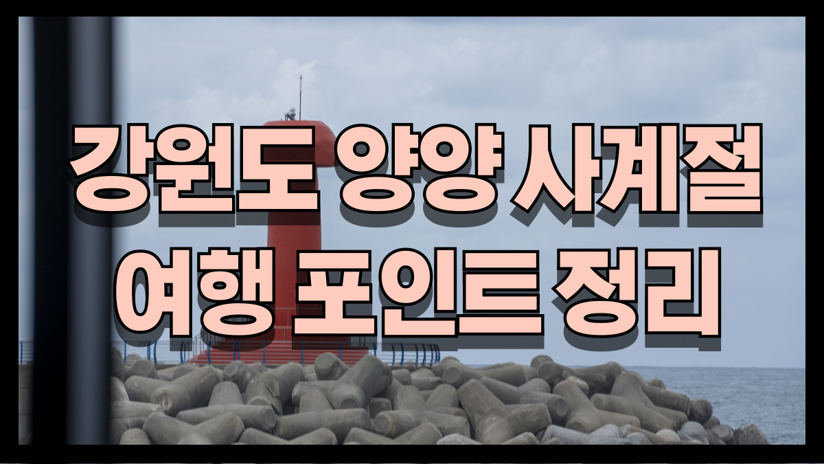 2025년 강원도 양양 사계절 여행 포인트 정리 노마로