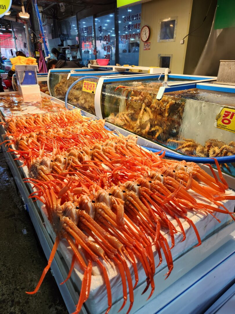 2025년 포항 여행 가이드감성카페 부터 해맞이 명소까지 1박 2일 코스 죽도시장 호미곶 노마로 2025년 포항 여행 가이드감성카페 부터 해맞이 명소까지 1박 2일 코스 죽도시장 호미곶 노마로