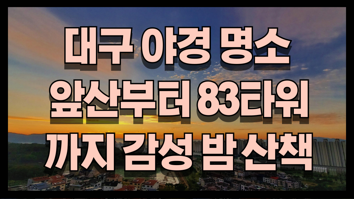 25년 대구 야경 명소 best6 앞산부터 83타워까지 감성 밤 산책 노마로