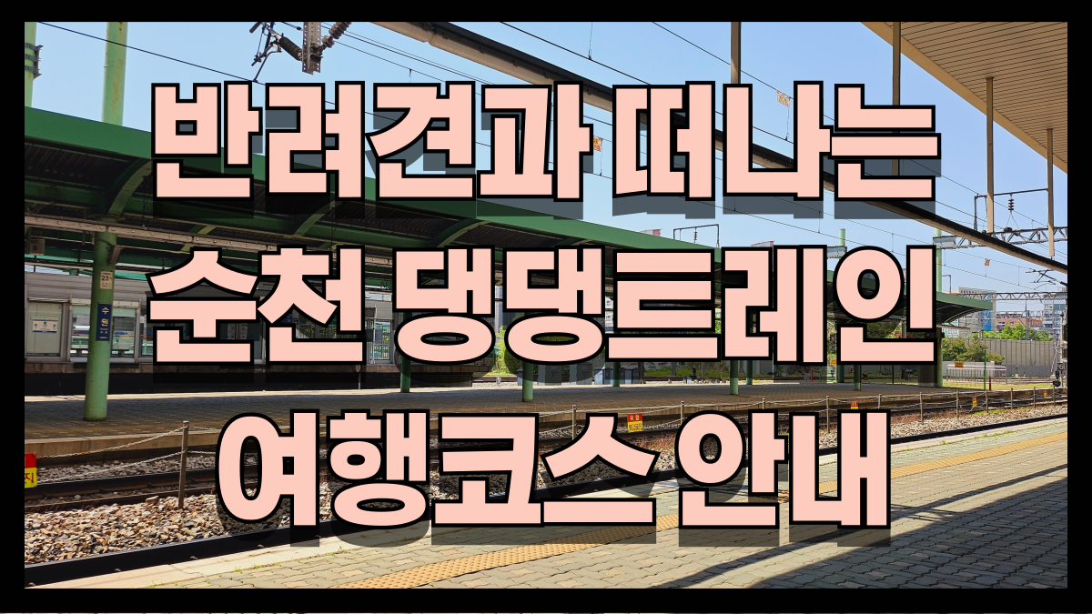 25년 반려견과 떠나는 순천 댕댕트레인 여행코스 best6 노마로