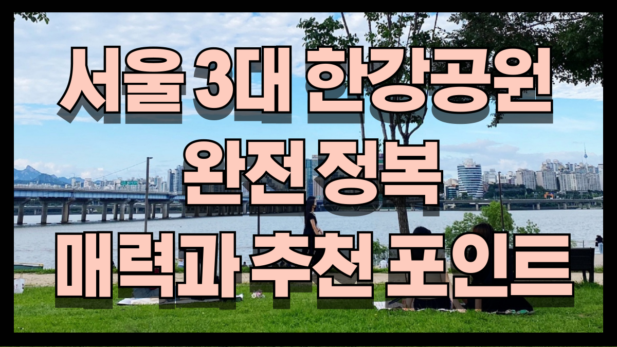 25년 서울 3대 한강공원 완전 정복 뚝섬 반포 여의도의 매력과 추천 포인트 노마로