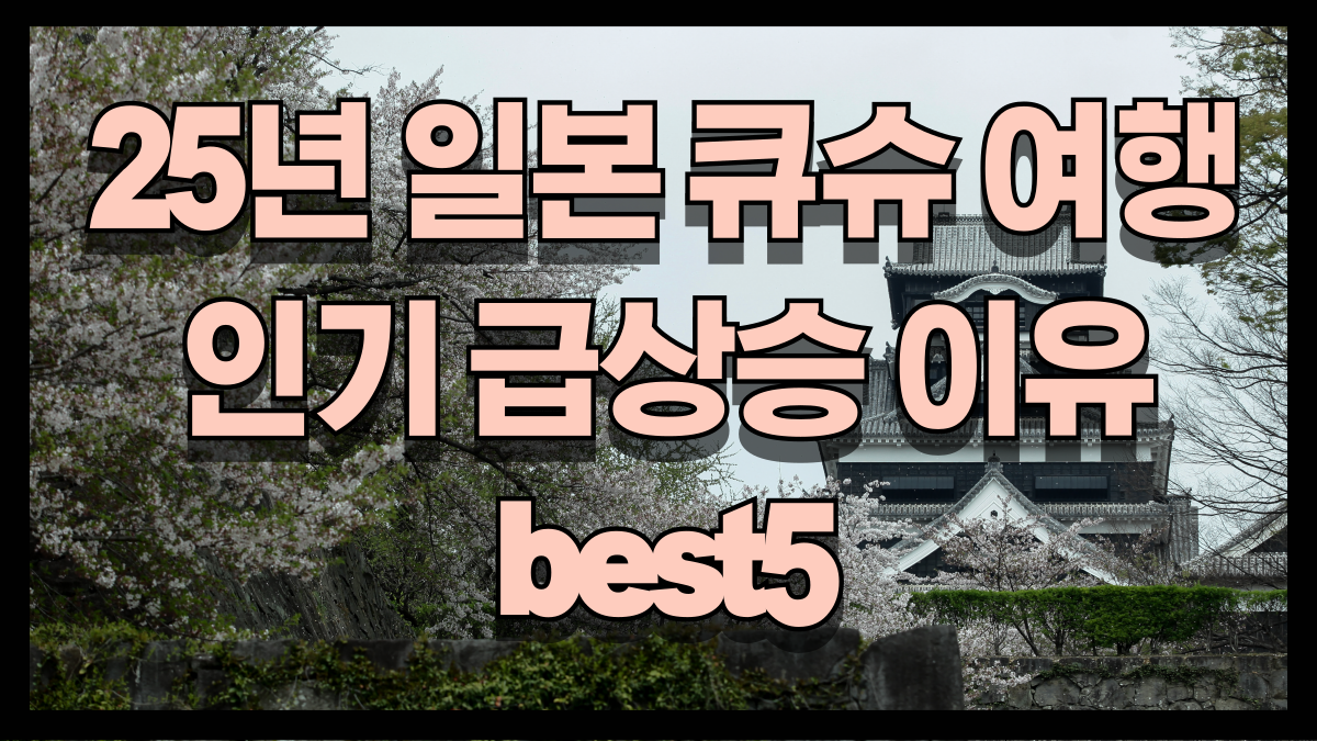 25년 일본 큐슈 여행 인기 급상승 이유 best5 노마로
