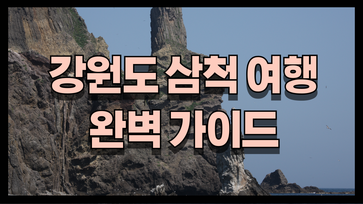강원도 삼척 여행 완벽 가이드 바다와 꽃 자연이 빚은 환상의 코스 노마로