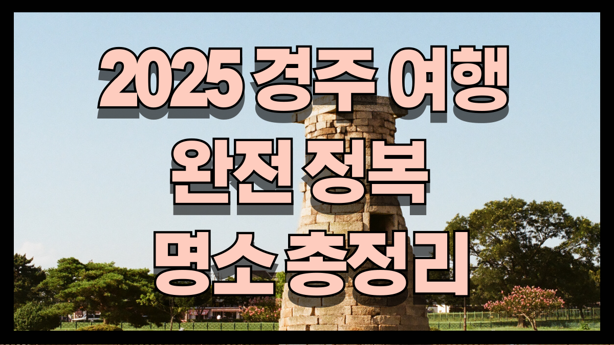 경주 여행 완전 정복 역사와 감성 현대가 어우러진 명소 총정리 노마로