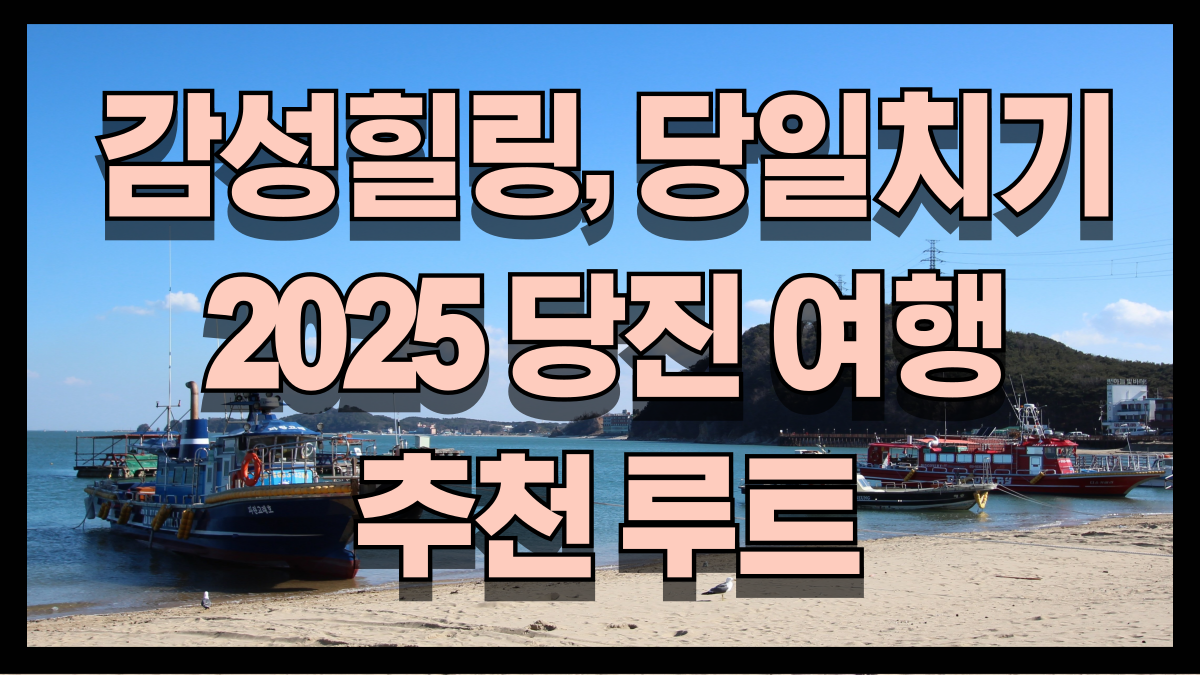 당일치기로 충분한 감성 힐링 2025 당진 여행 추천 루트 아그로랜드 왜목마을 삽교호 노마로