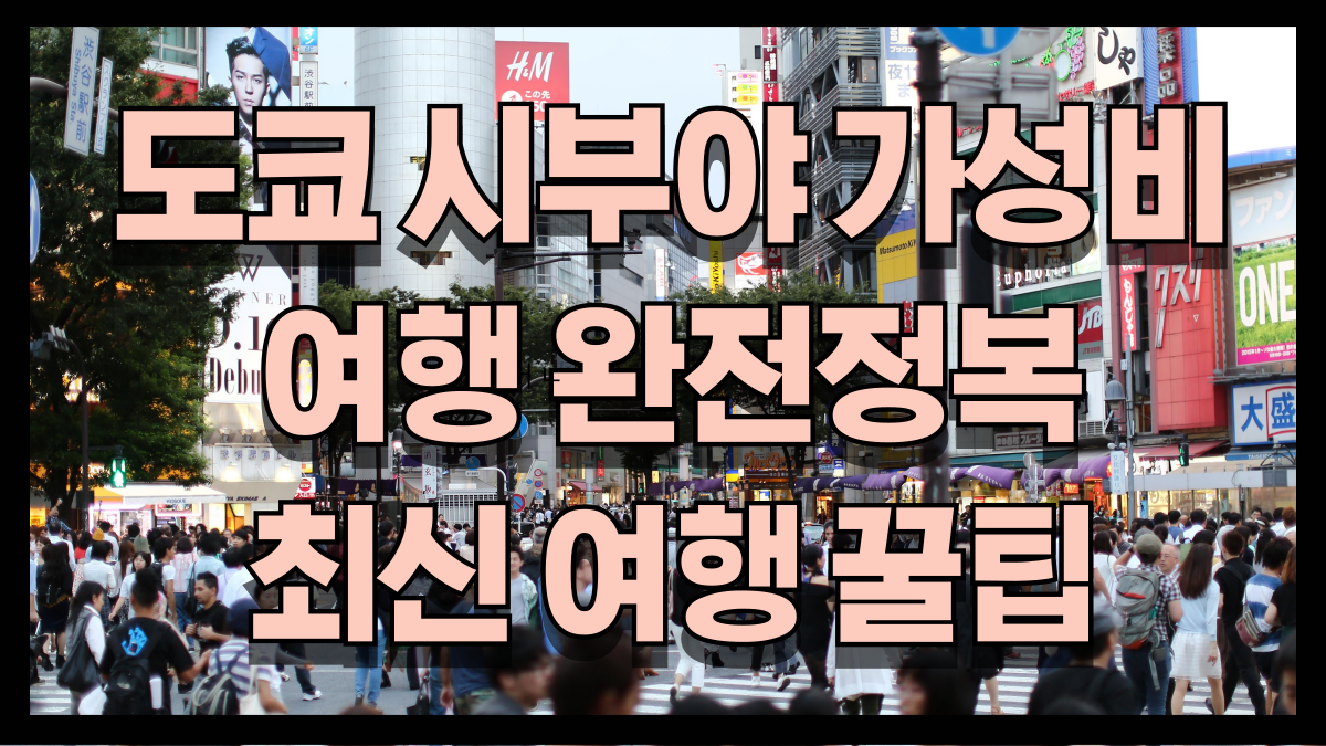 도쿄시부야가성비여행완전정복2025년최신꿀팁총정리노마로 도쿄시부야가성비여행완전정복2025년최신꿀팁총정리노마로
