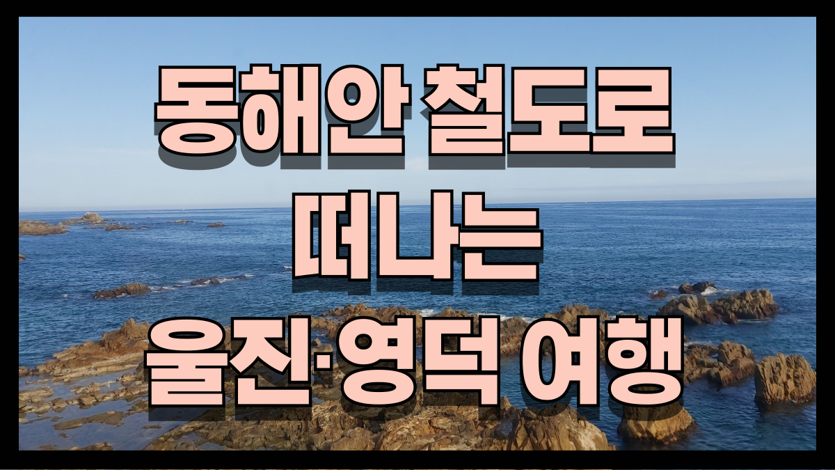 동해안 철도로 떠나는 울진 영덕 여행 대게축제부터 케이블카까지 노마로 동해안 철도로 떠나는 울진 영덕 여행 대게축제부터 케이블카까지 노마로