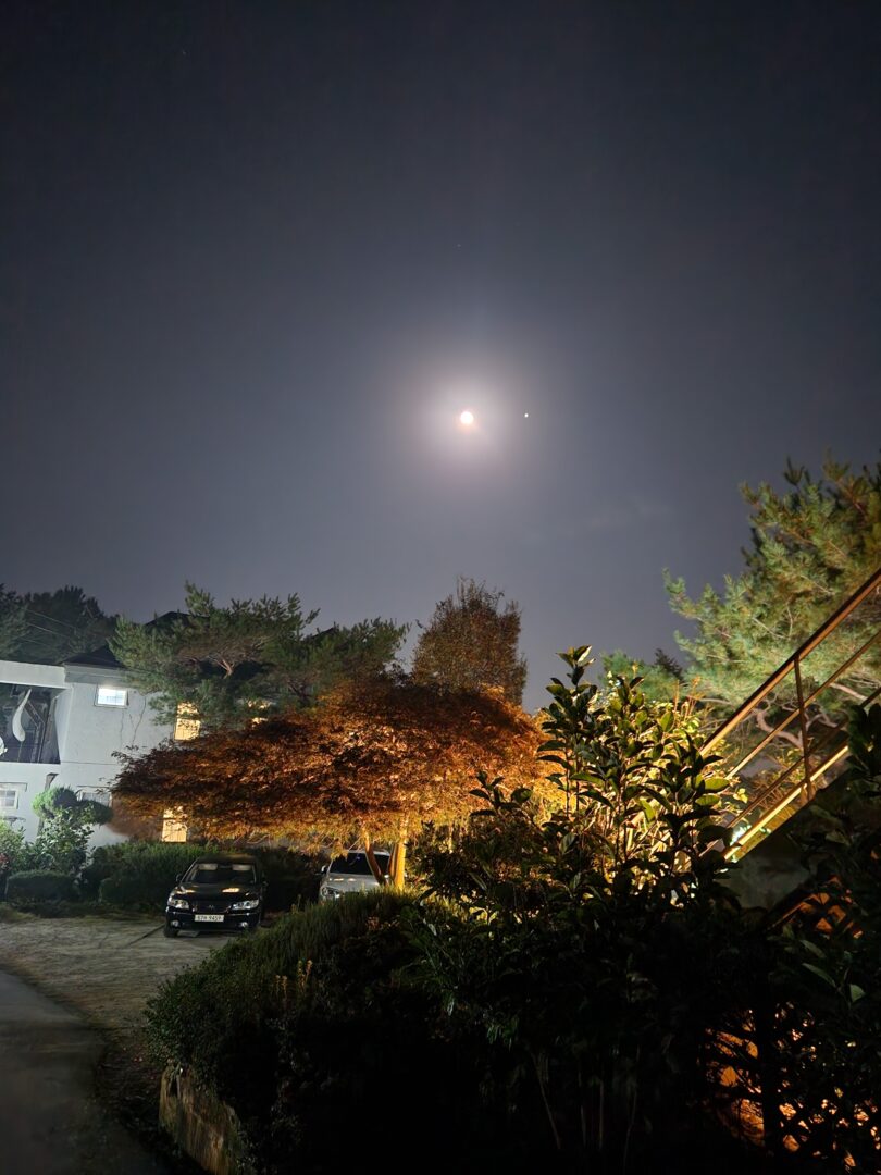 바다와 숲을 모두 담은 2025 안면도 1박 2일 감성 여행 코스 바다와 숲을 모두 담은 2025 안면도 1박 2일 감성 여행 코스