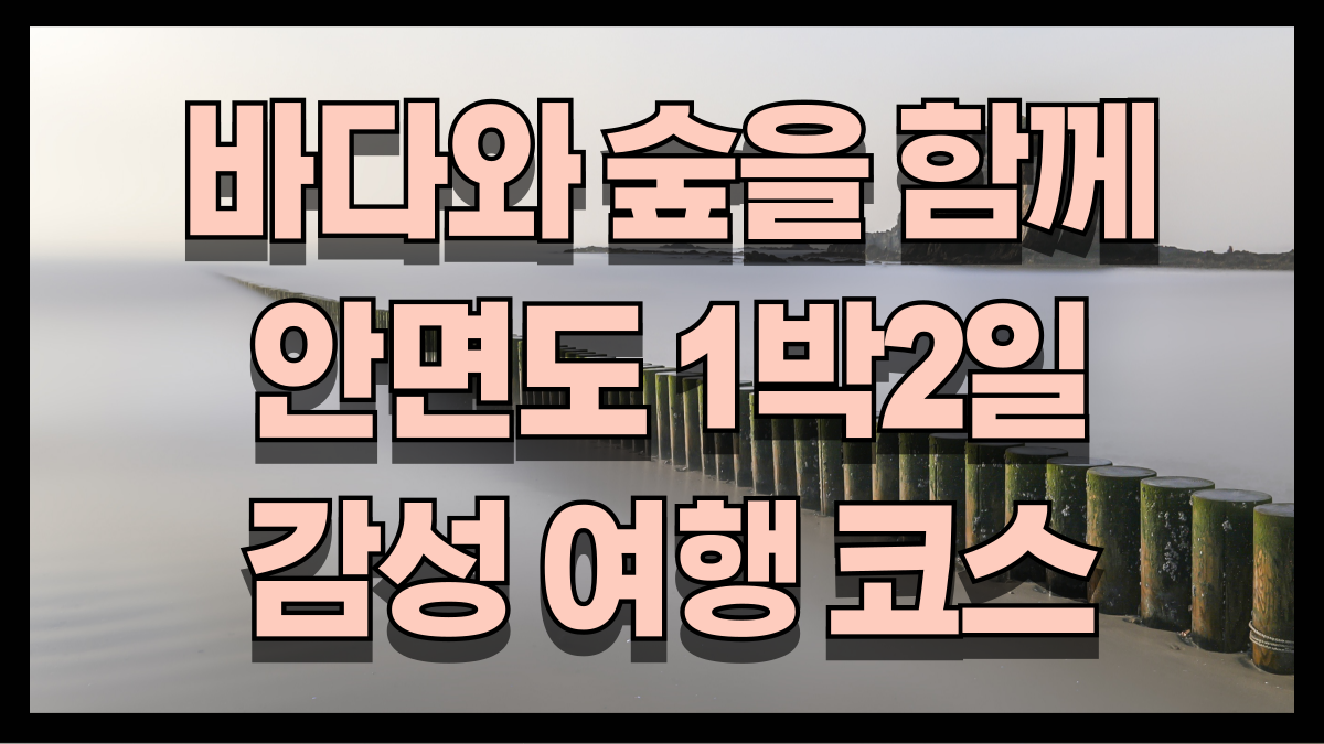 바다와 숲을 모두 담은 2025 안면도 1박 2일 감성 여행 코스 꽃지해수욕장 안면암 자연휴양림 수목원 노마로