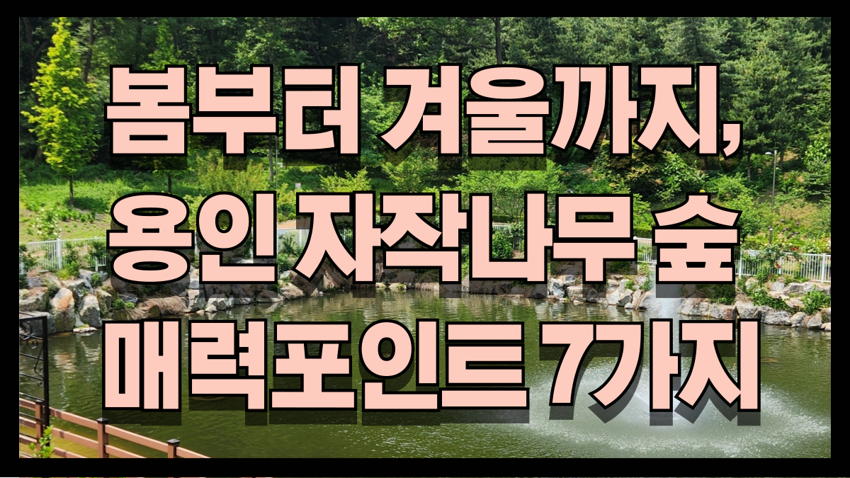 봄부터 겨울까지 용인 자작나무 숲 매력포인트 7가지 수도권 도심 근교 나들이 부모님 모시고 산책코스 노마로