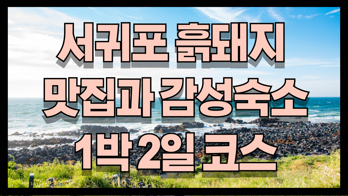 서귀포 흑돼지 맛집과 감성 숙소로 완성하는 1박 2일 힐링 코스