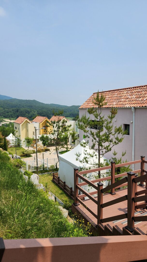 용인 자작나무숲 서울근교 나들이 산책명소 부모님나들이 노마로 (10) 용인 자작나무숲 서울근교 나들이 산책명소 부모님나들이 노마로 (10)