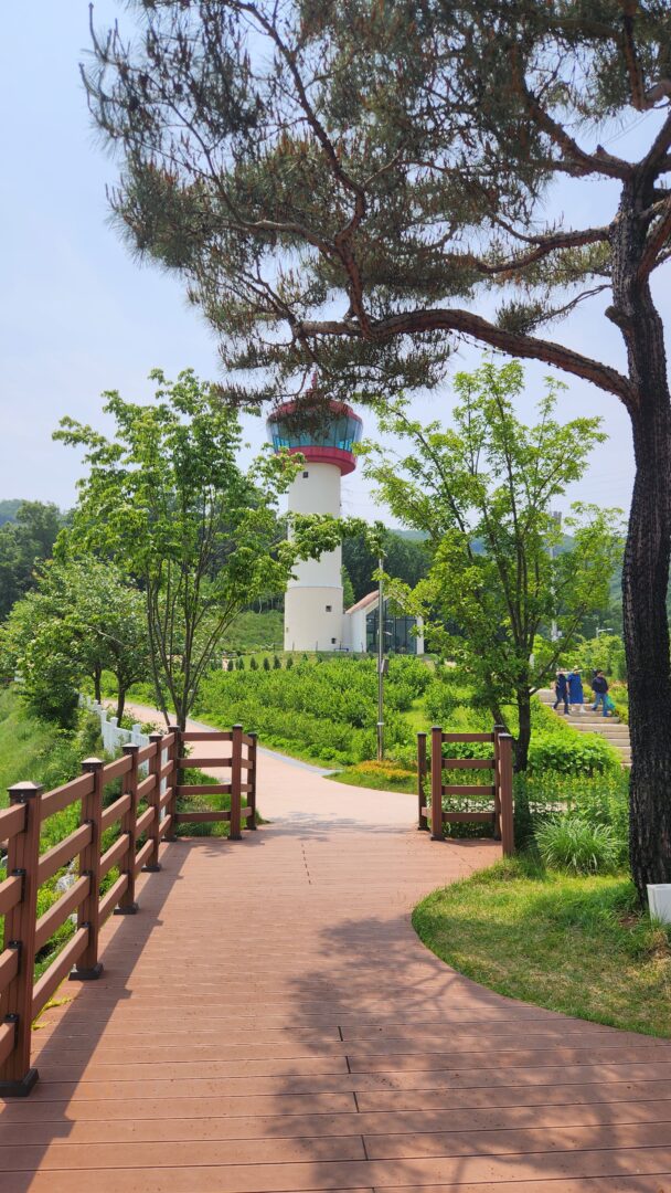 용인 자작나무숲 서울근교 나들이 산책명소 부모님나들이 노마로 용인 자작나무숲 서울근교 나들이 산책명소 부모님나들이 노마로