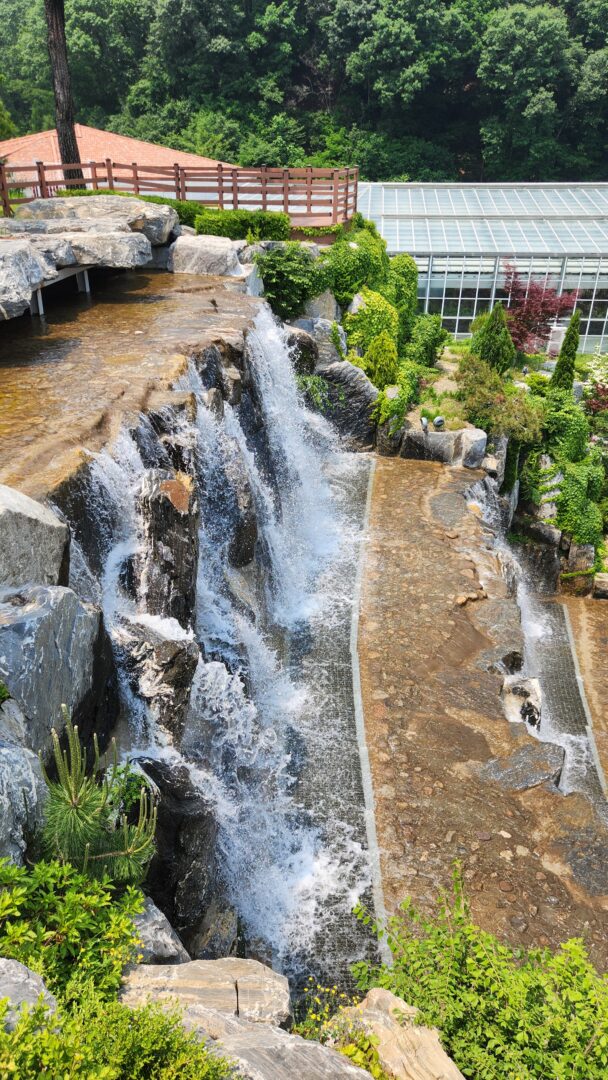 용인 자작나무숲 서울근교 나들이 산책명소 부모님나들이 노마로 용인 자작나무숲 서울근교 나들이 산책명소 부모님나들이 노마로