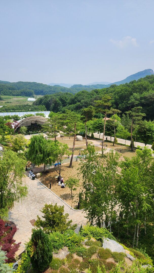 용인 자작나무숲 서울근교 나들이 산책명소 부모님나들이 노마로 (17) 용인 자작나무숲 서울근교 나들이 산책명소 부모님나들이 노마로 (17)