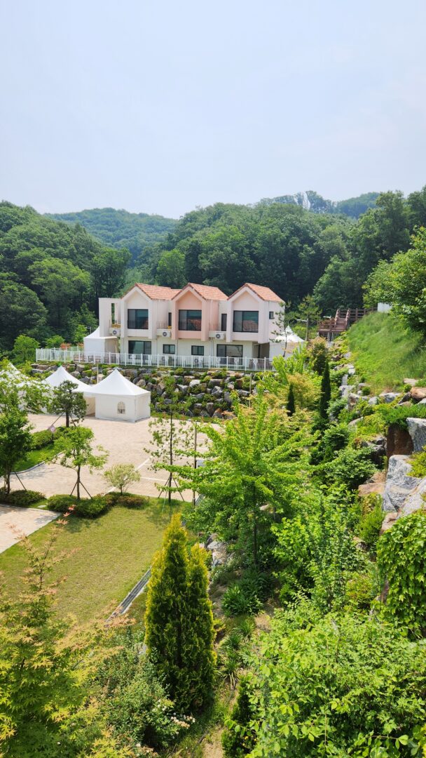 용인 자작나무숲 서울근교 나들이 산책명소 부모님나들이 노마로 (18) 용인 자작나무숲 서울근교 나들이 산책명소 부모님나들이 노마로 (18)