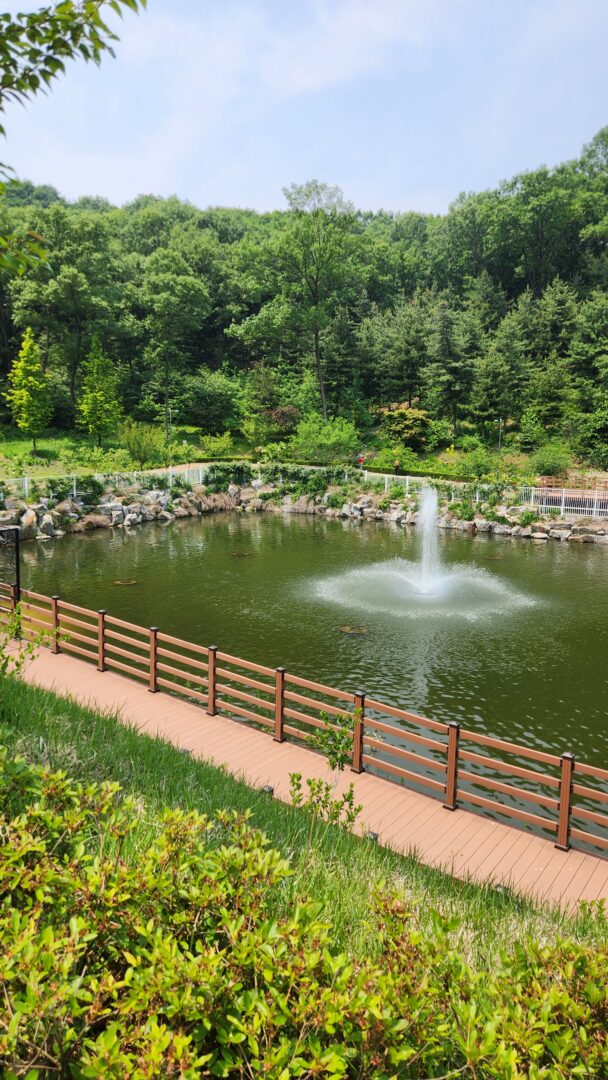 용인 자작나무숲 서울근교 나들이 산책명소 부모님나들이 노마로 (19)