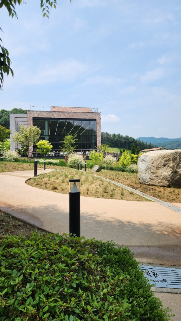 용인 자작나무숲 서울근교 나들이 산책명소 부모님나들이 노마로 (41)