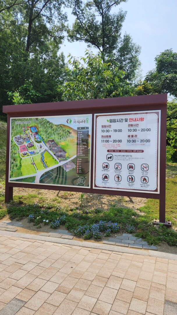 용인 자작나무숲 서울근교 나들이 산책명소 부모님나들이 노마로 (5) 용인 자작나무숲 서울근교 나들이 산책명소 부모님나들이 노마로 (5)