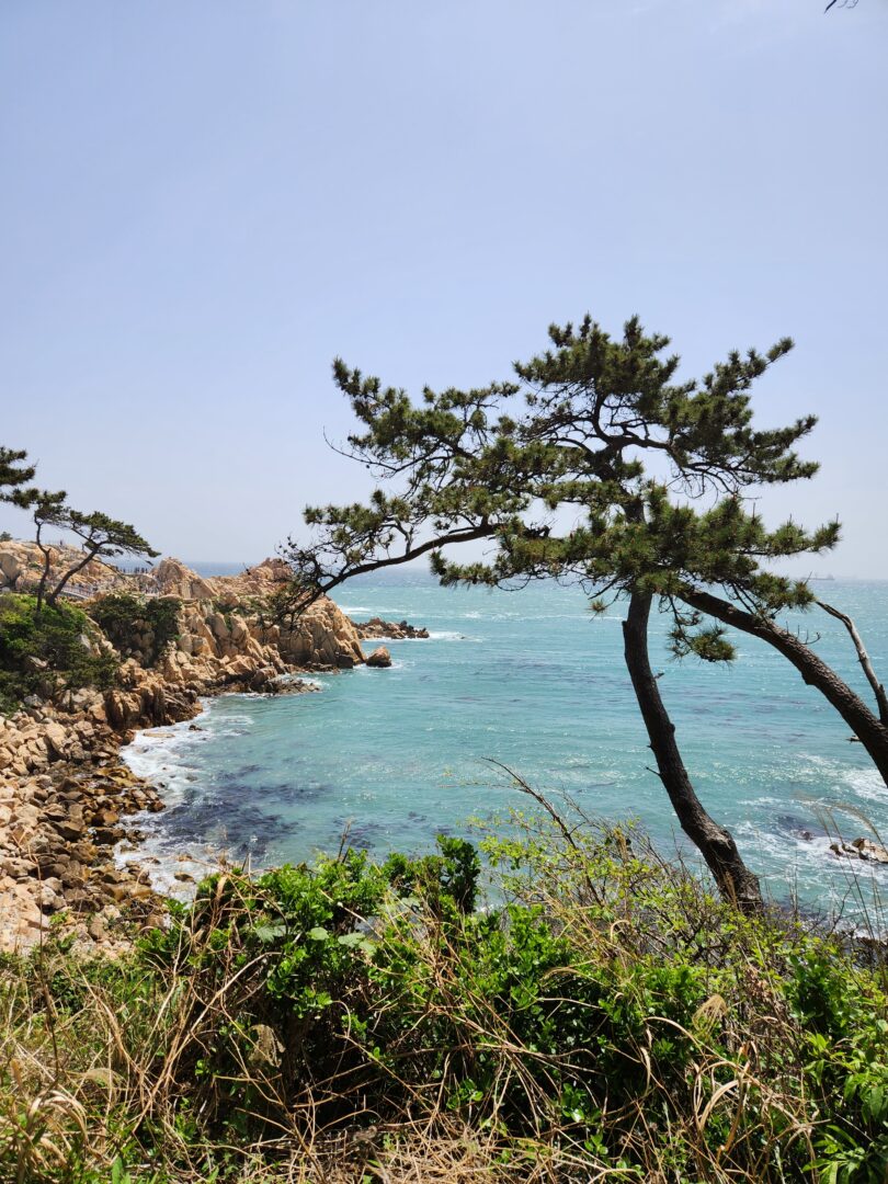 울산 대왕암공원 경탄할 만한 바다와 해안절경 전설이 어우러진 최고의 산책 명소 노마로 (3) 울산 대왕암공원 경탄할 만한 바다와 해안절경 전설이 어우러진 최고의 산책 명소 노마로