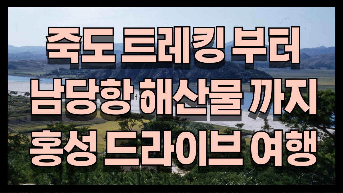 죽도 트레킹부터 남당항 해산물까지 홍성 드라이브 여행 코스 총정리 노마로 죽도 트레킹부터 남당항 해산물까지 홍성 드라이브 여행 코스 총정리 노마로