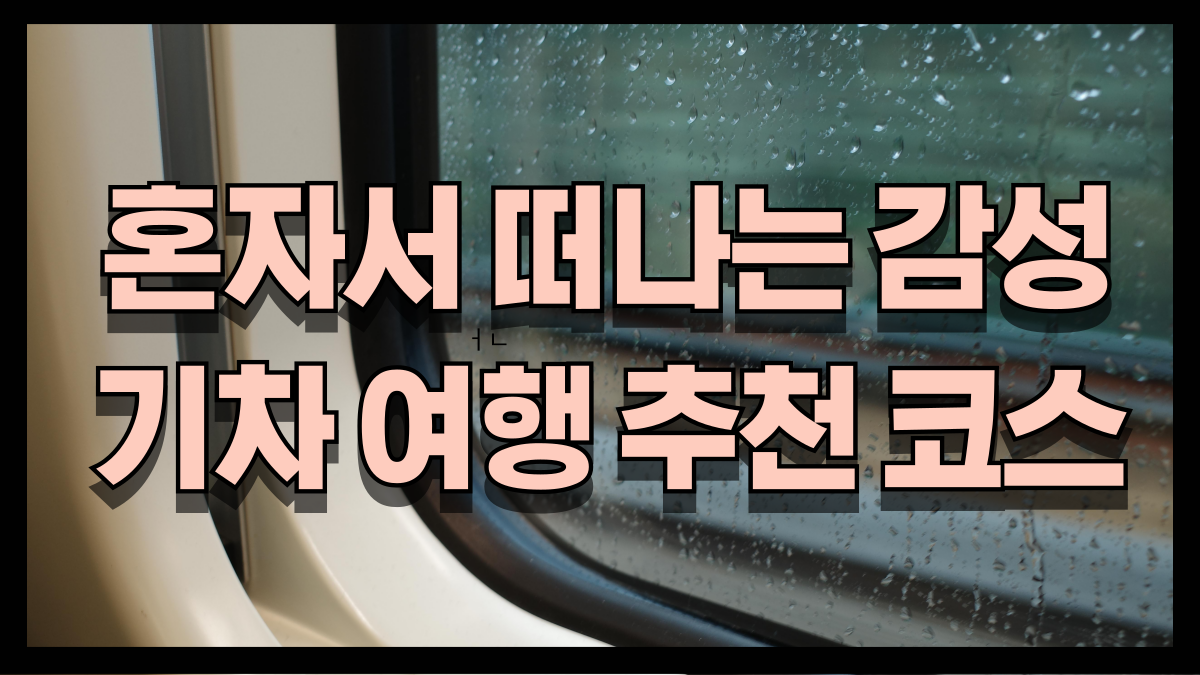 혼자서 떠나는 감성 기차 여행 추천 코스 서울 출발 혼행 베스트 루트 2025 노마로