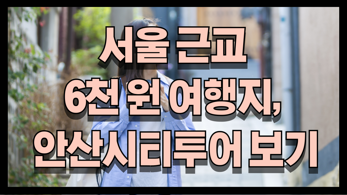 2025년 서울 근교 6천 원 여행지 안산시티투어 매력 7가지 노마로