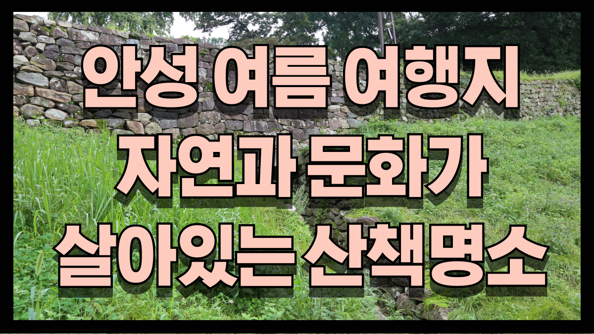 안성 여름 여행지 BEST4 자연과 문화가 살아있는 산책 명소 노마로